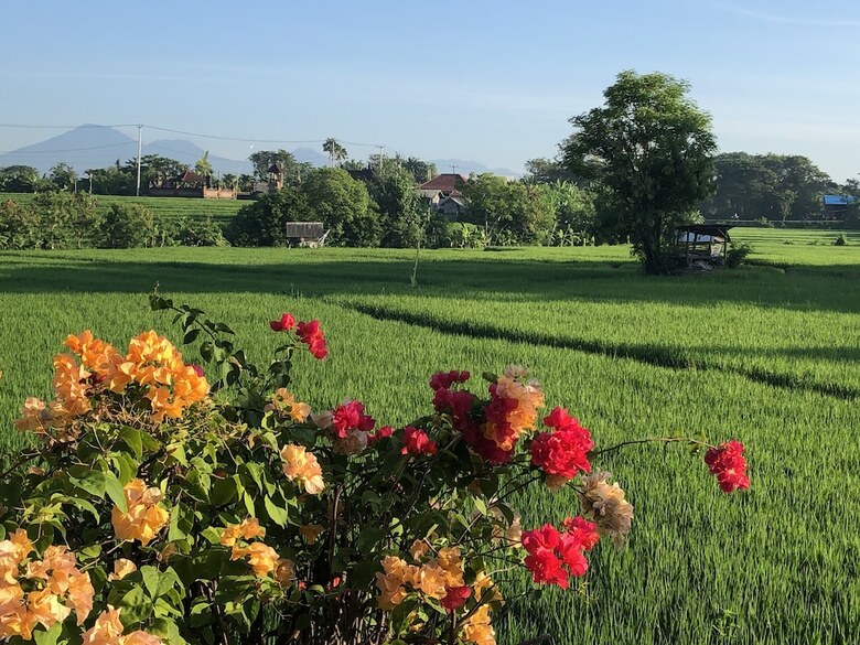 Hotel Derose Guest House Canggu Bali