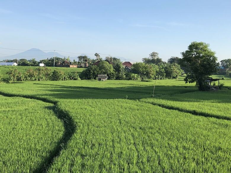 Hotel Derose Guest House Canggu Bali