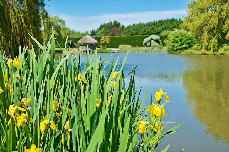 Northlands Farm & Lakes