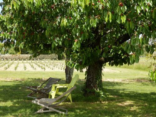 Bed & Breakfast Chateau La Mothe Du Barry