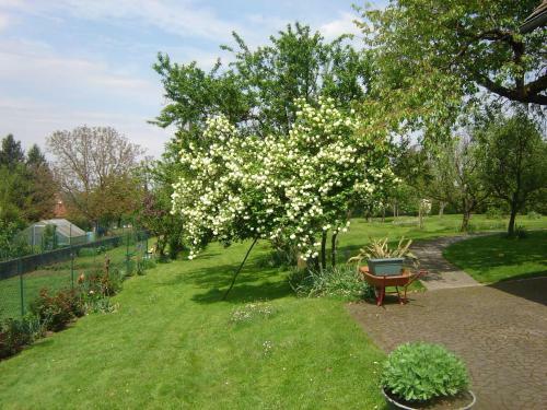 Holiday Home Au Cheval Blanc Ruederbach