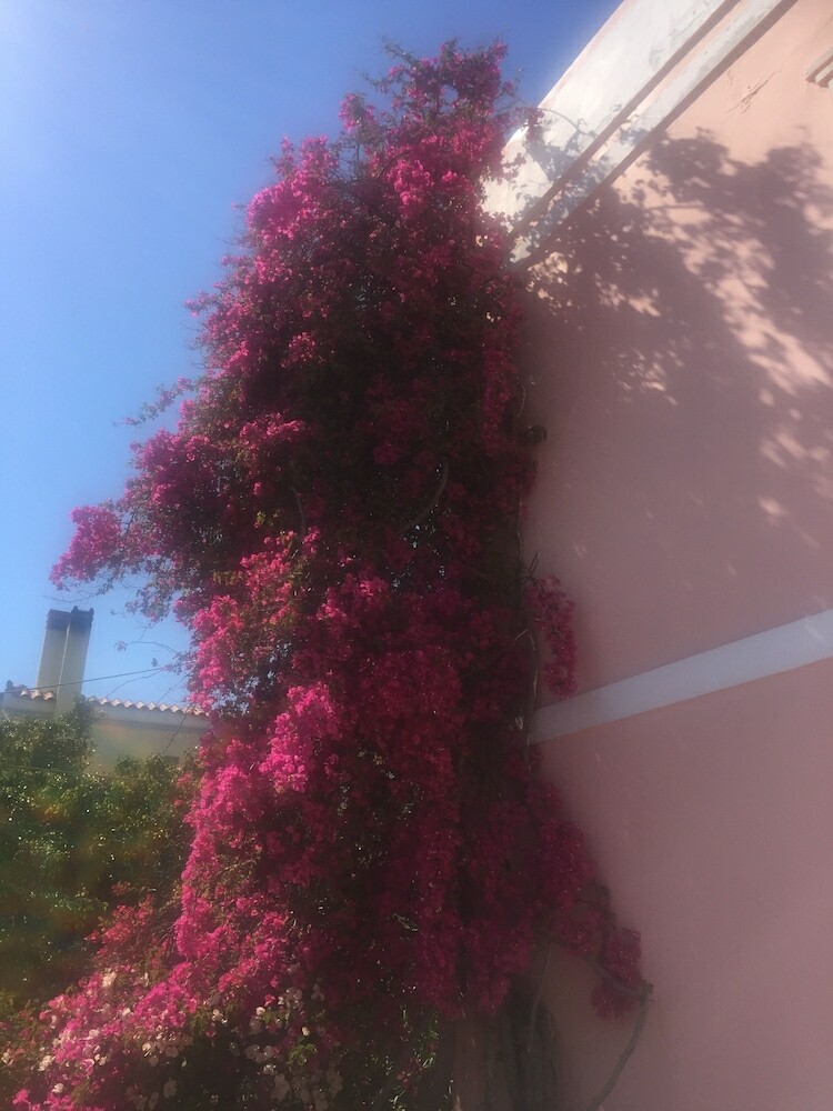 Hotel Villa Rodanthos