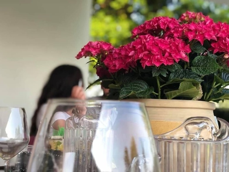 Bed & Breakfast Niifty Intera Villa Piscina Relax Idromassaggio E Sauna