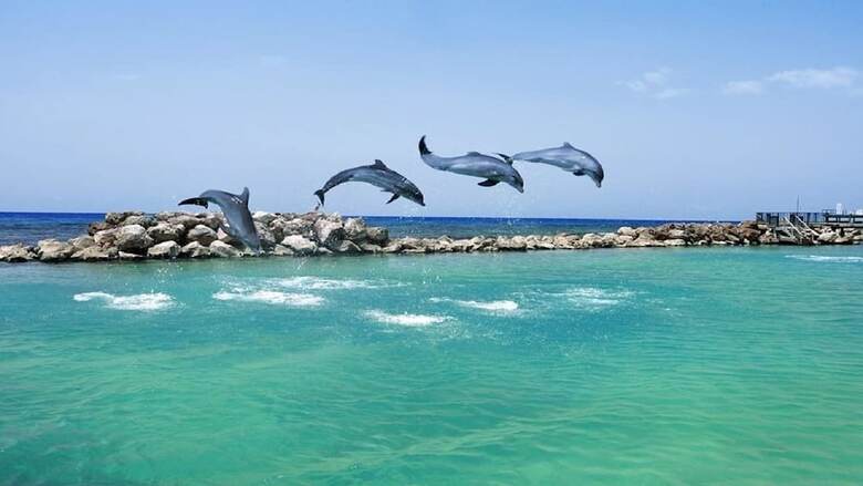 Apartamentos Ocean View Villa At Coolshade Ocho Rios
