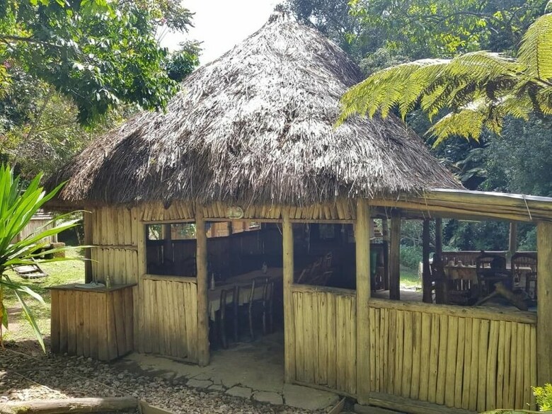 Apartamentos Nshongi Forest Camp