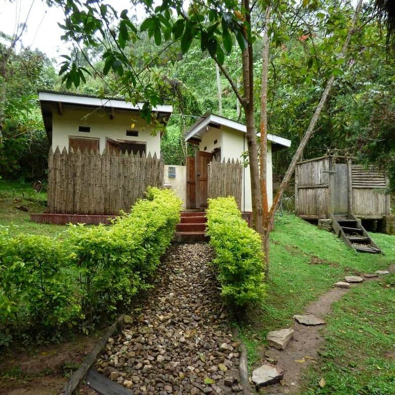 Apartamentos Nshongi Forest Camp