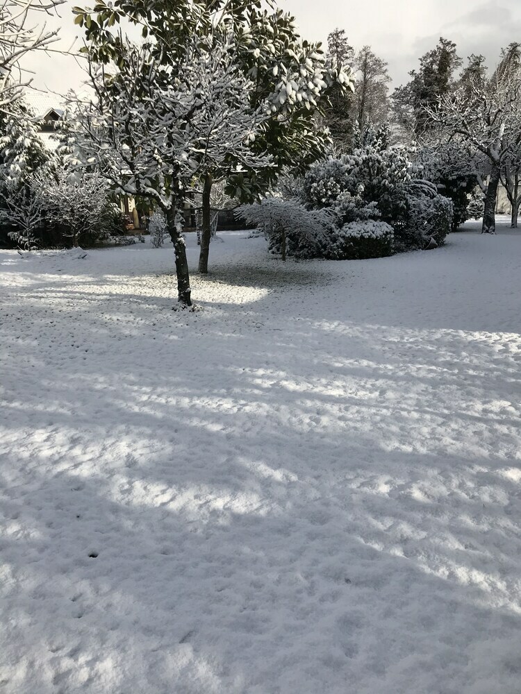 Sapanca Villa Natura Gol Evi