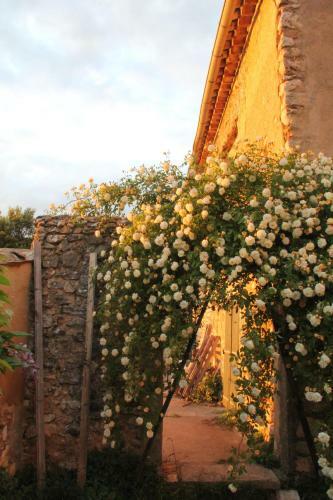 Hostal Domaine De La Blaque - B&B