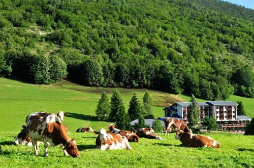 Aec Vacances - Forgeassoud