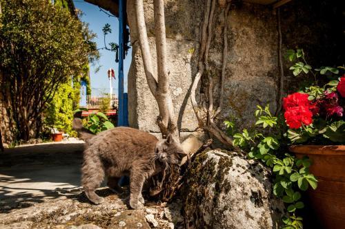 Hostal Chambres D'h�tes Et G�tes Le Mas Bleu & Spa Resort