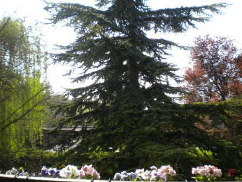 Bed & Breakfast Aux Marguerites