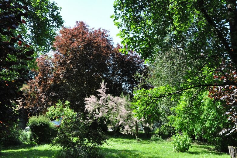 Bed & Breakfast Mont Blanc Location Bien-etre