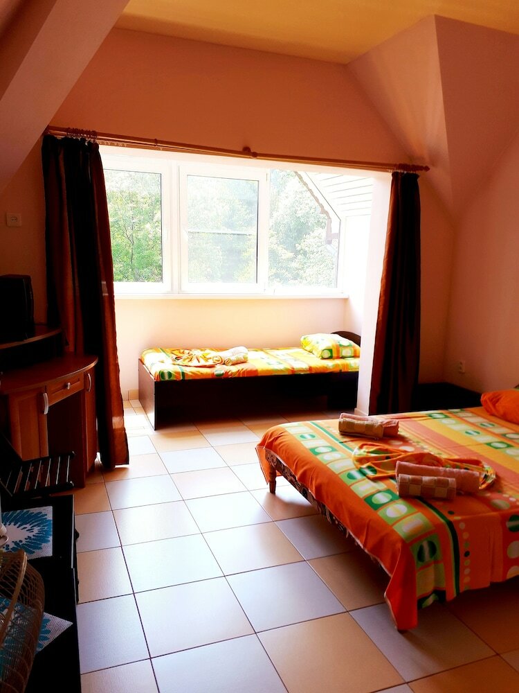 Hotel Rodnichok Guest House