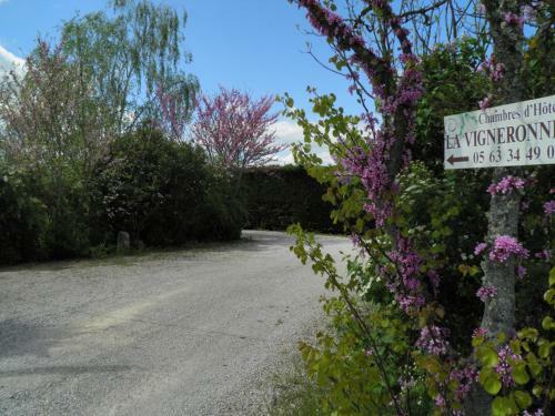 Bed & Breakfast Chambres D'h�tes La Vigneronne