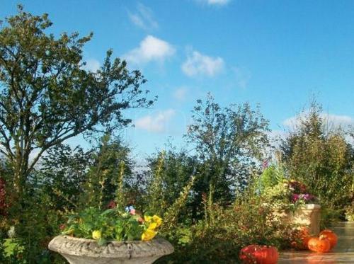 Hostal Chambres D'h�tes Le Clos Vaucelle