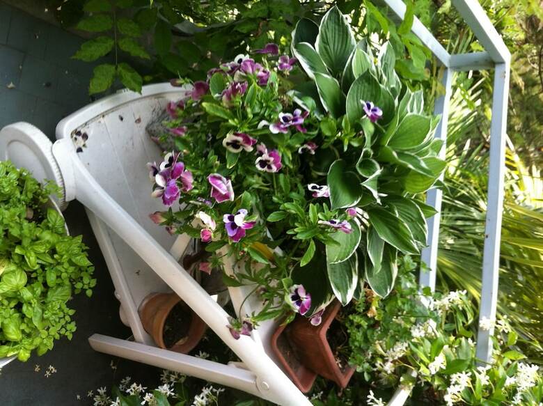 Le Ortensie Due - Bed And Breakfast