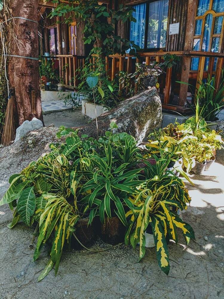 Bed & Breakfast Jing's Place Homestay Siargao