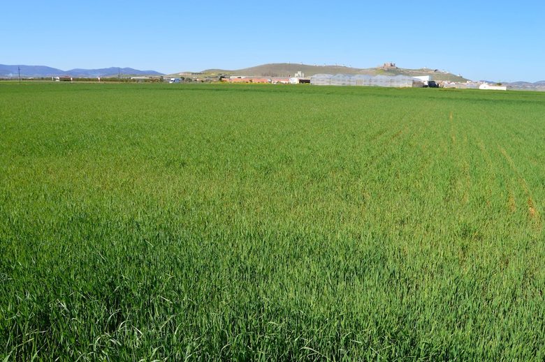 Agroturismo El Retiro de La Mancha