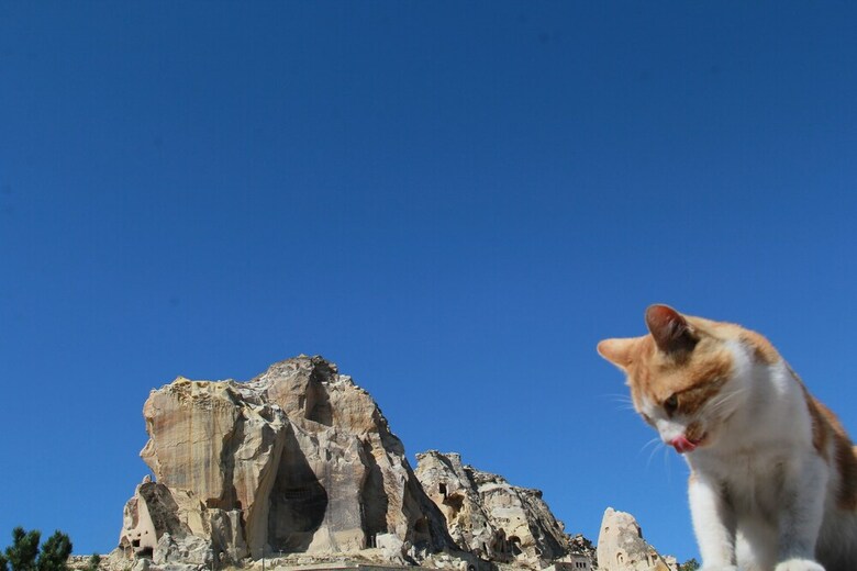 Hotel Tafana Cave & Stone Lodge