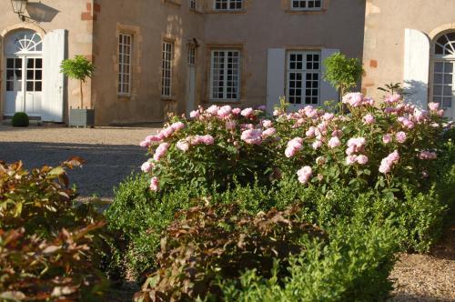 Bed & Breakfast Ch�teau Du Riau