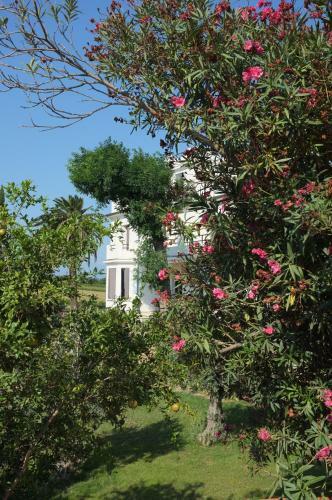 Bed & Breakfast Clos Des Aspres