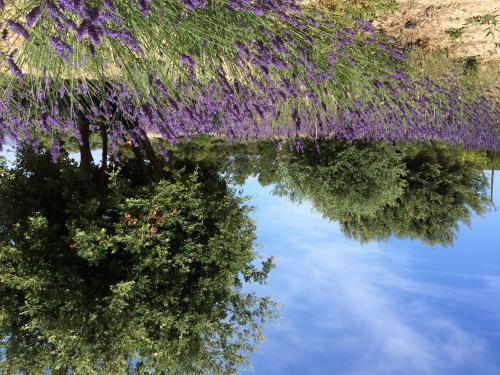 Provence Aix Coteaux