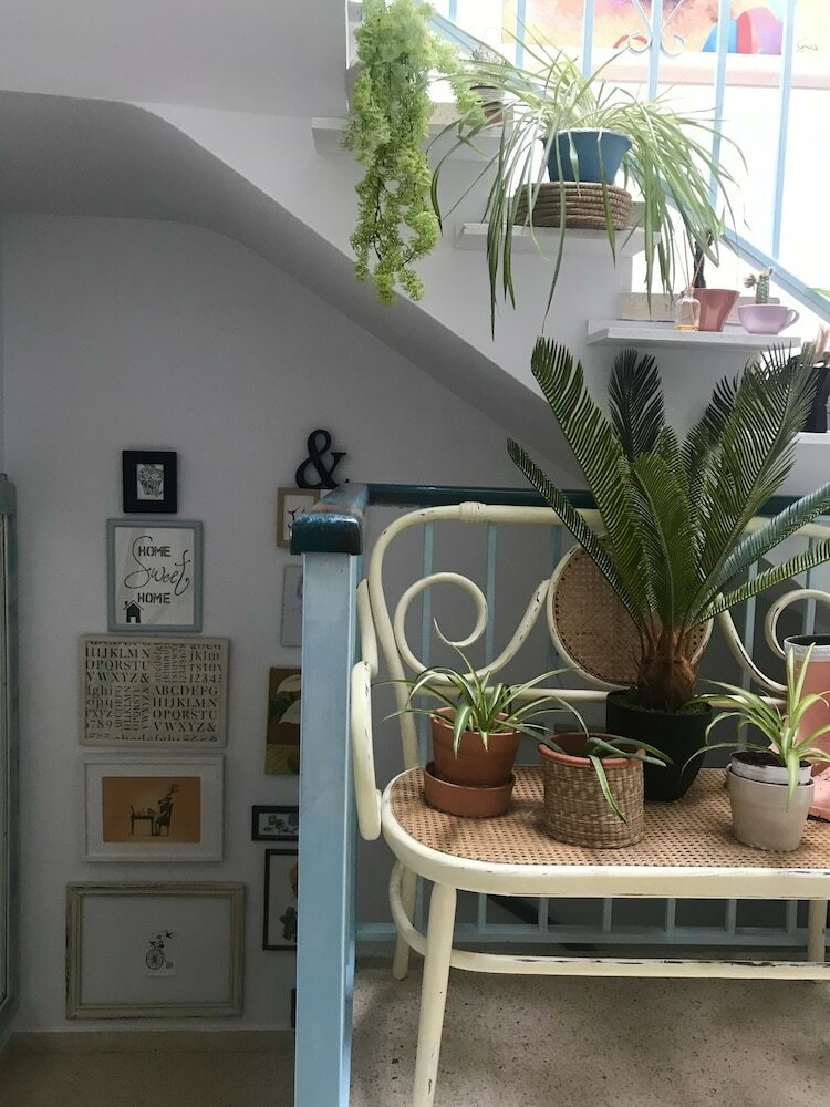 El Patio Del Limonero