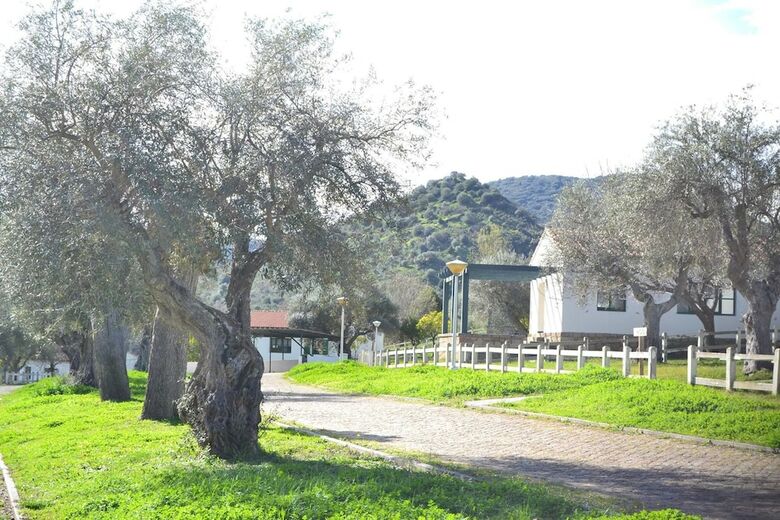 Agroturismo Casas Rurales Aldeaduero
