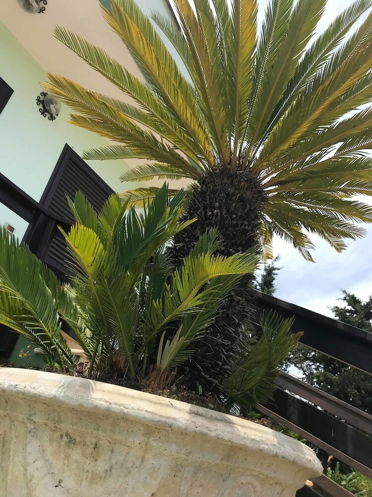 Hotel Mondoverde B&B