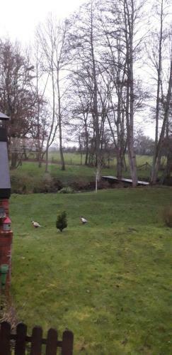 Bed & Breakfast Le Moulin De La Barre