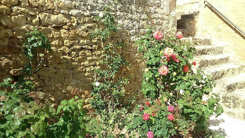 Bed & Breakfast Le Vieux Chateau