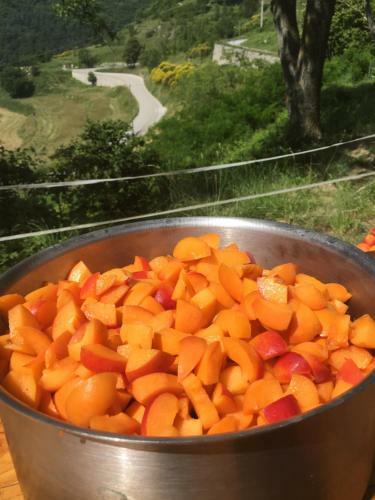 Bed & Breakfast Auberge Du Col De Brouis