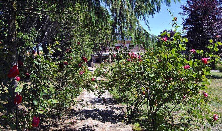 Casa El �rbol Del Lilo