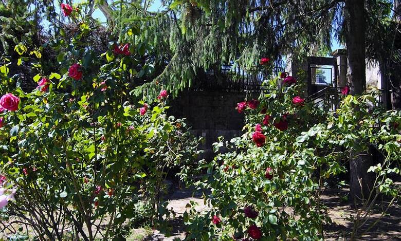Casa El �rbol Del Lilo