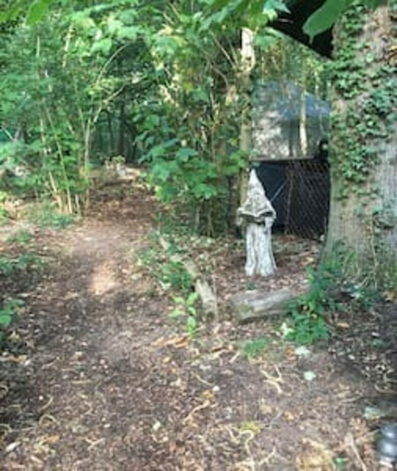 Cabana Ancient Woodland Retreat