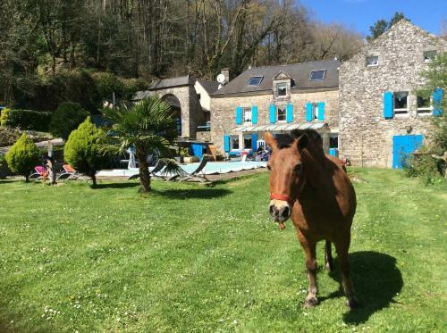 Bed & Breakfast Le Moulin Du Bois
