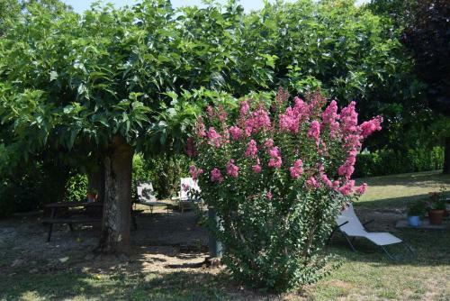 Bed & Breakfast Le Nid De L'ecureuil