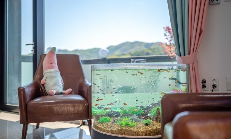 I Pluss Poolviller Pension