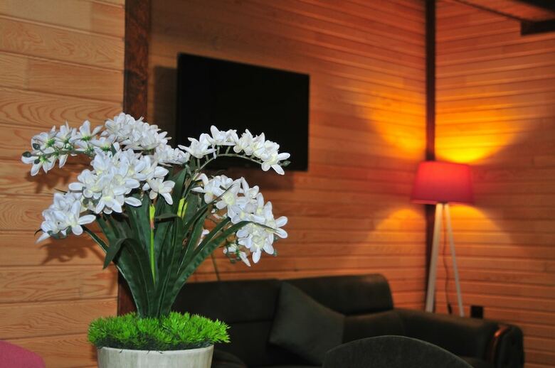 Hotel Dilek Suit & Cafe