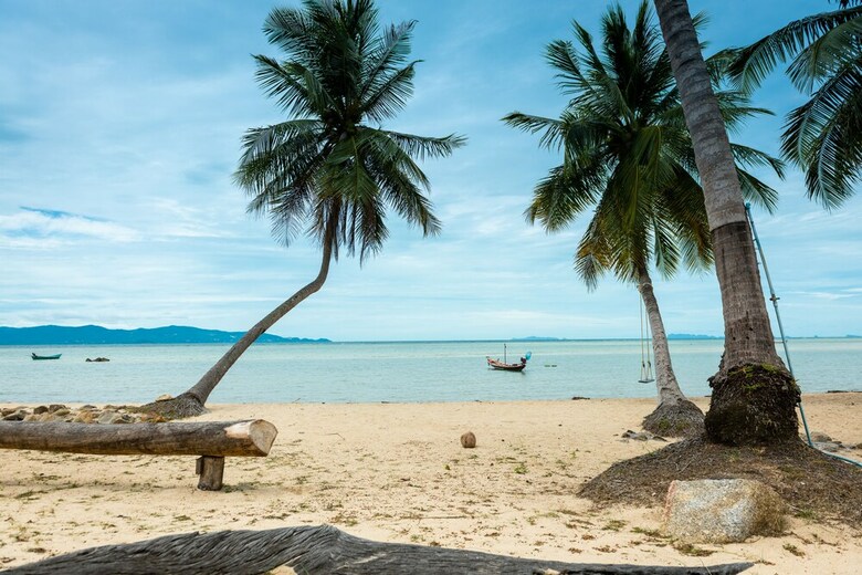 Hotel One More Night Beach