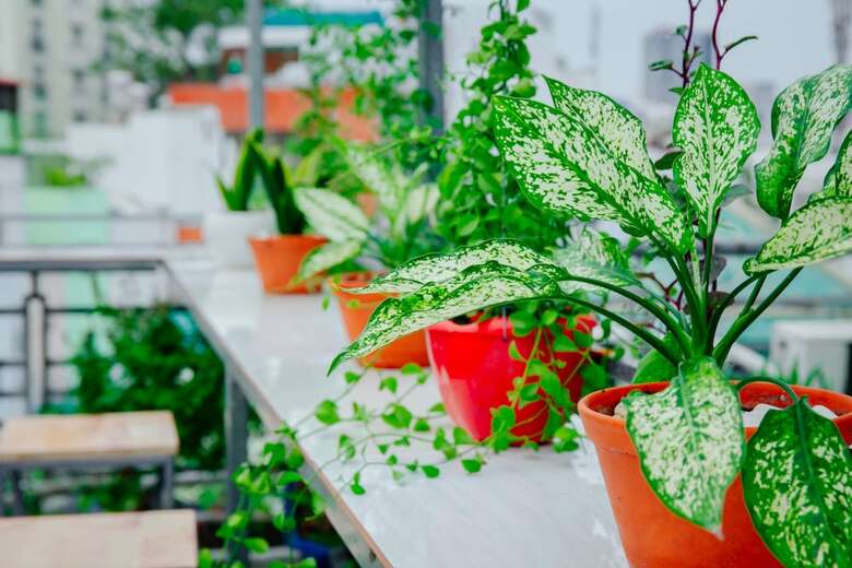 Hotel Hello Saigon Homestay
