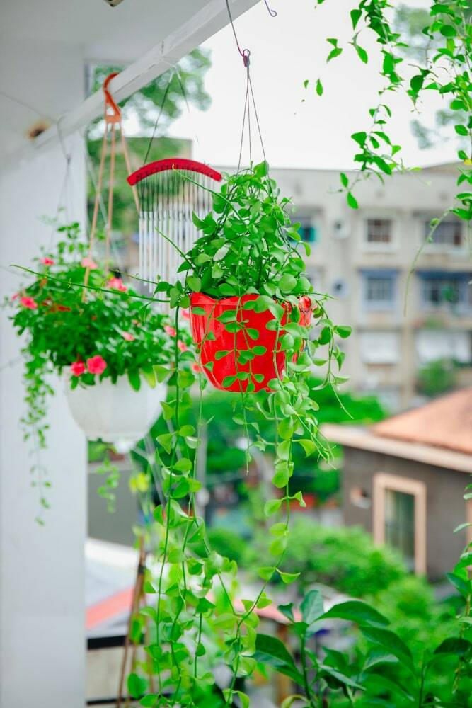 Hotel Hello Saigon Homestay