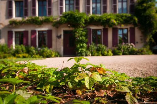 Bed & Breakfast Au Puy Des V�rit�s