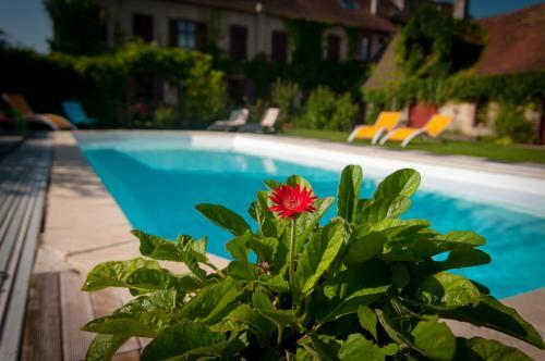 Bed & Breakfast Au Puy Des V�rit�s