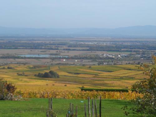 Bed & Breakfast Chambres D'h�tes Rachelle Schneider