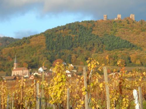 Bed & Breakfast Chambres D'h�tes Rachelle Schneider