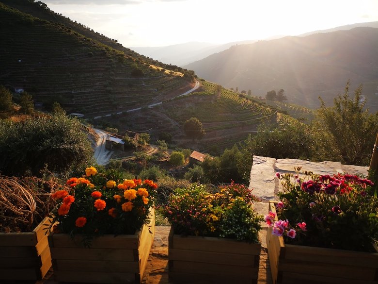 Quinta Das Fontainhas - Douro Valley