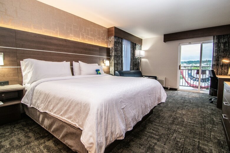 Hotel Holiday Inn Express Downtown