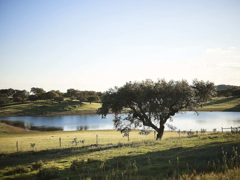 Herdade Dos Delgados Dark Sky View Hotel & Spa