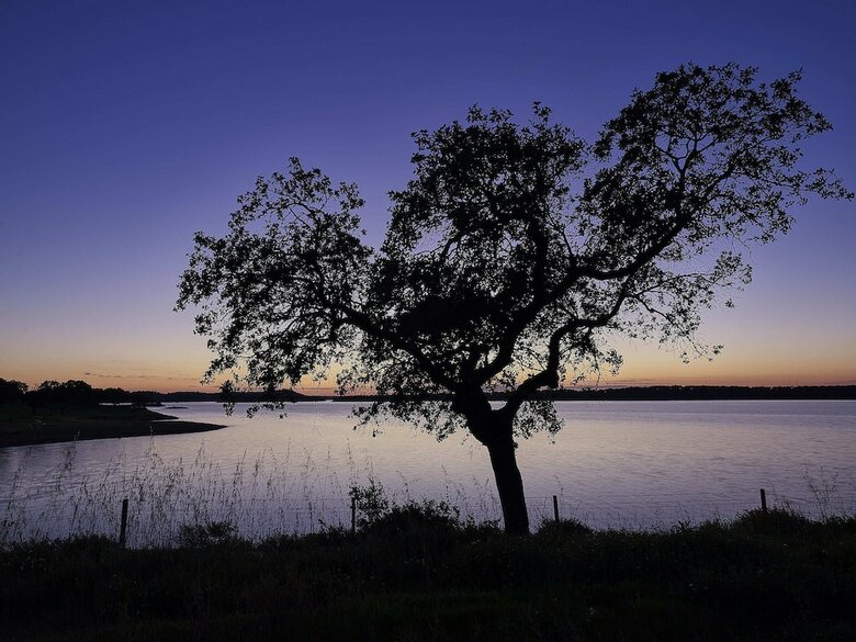 Herdade Dos Delgados Dark Sky View Hotel & Spa